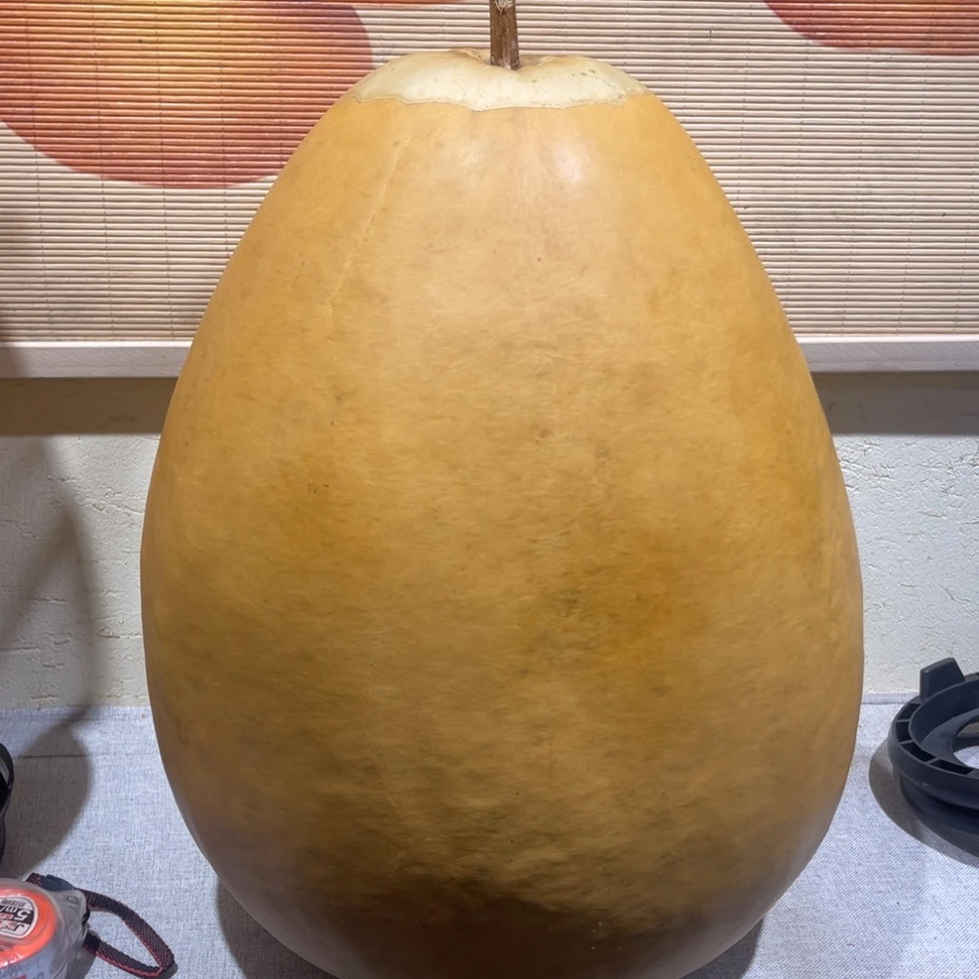 S***心仿木不包邮不保龙头