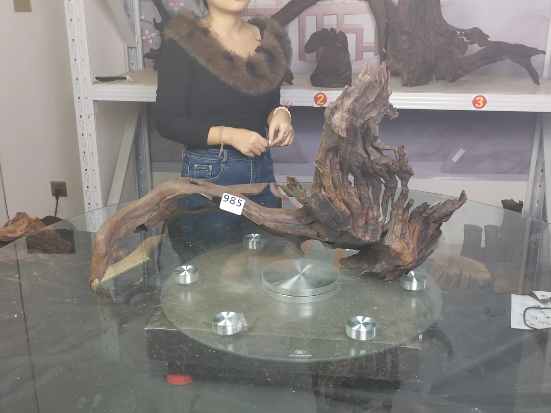 云南本地紫柚木985