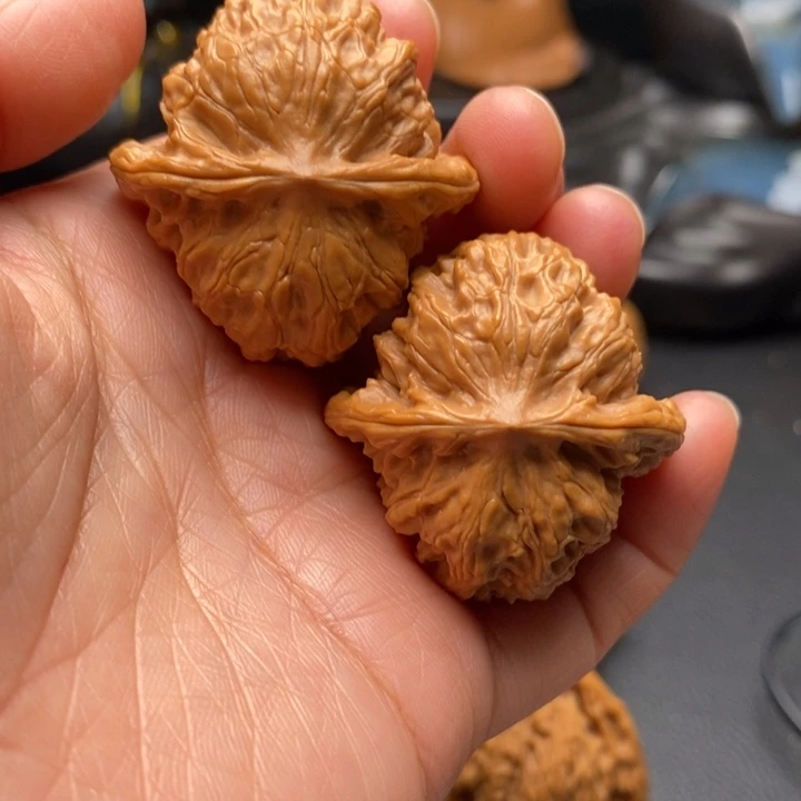 文玩核桃吊坠野狼37尺