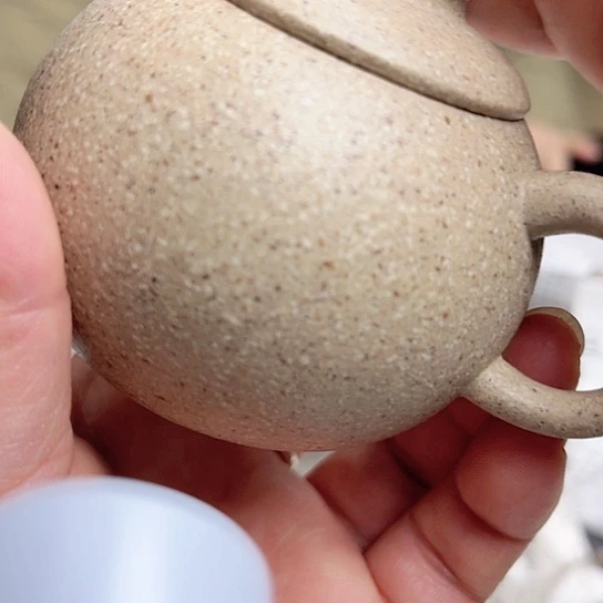 紫砂茶壶今天不知道