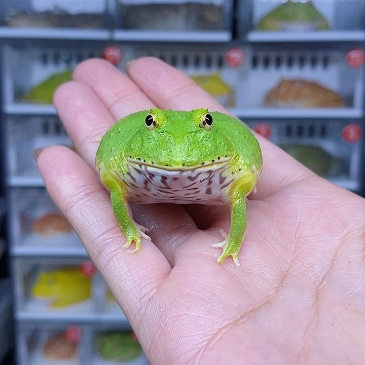 特价秒杀现货特价