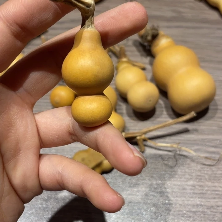 鹰***9葫芦葫芦葫芦葫芦