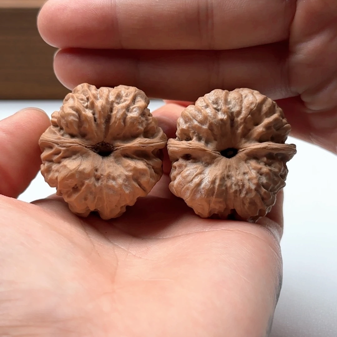 刘***影核桃把件延庆蛤蟆