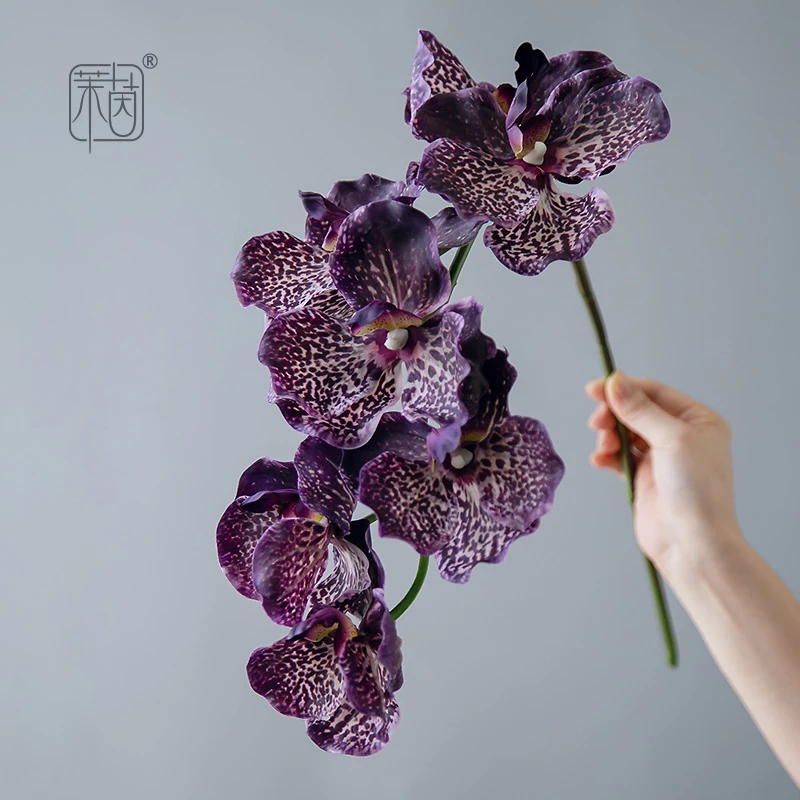 大花万代兰暗黑系小众仿真花手感保湿软胶高档样板间装饰干花假花
