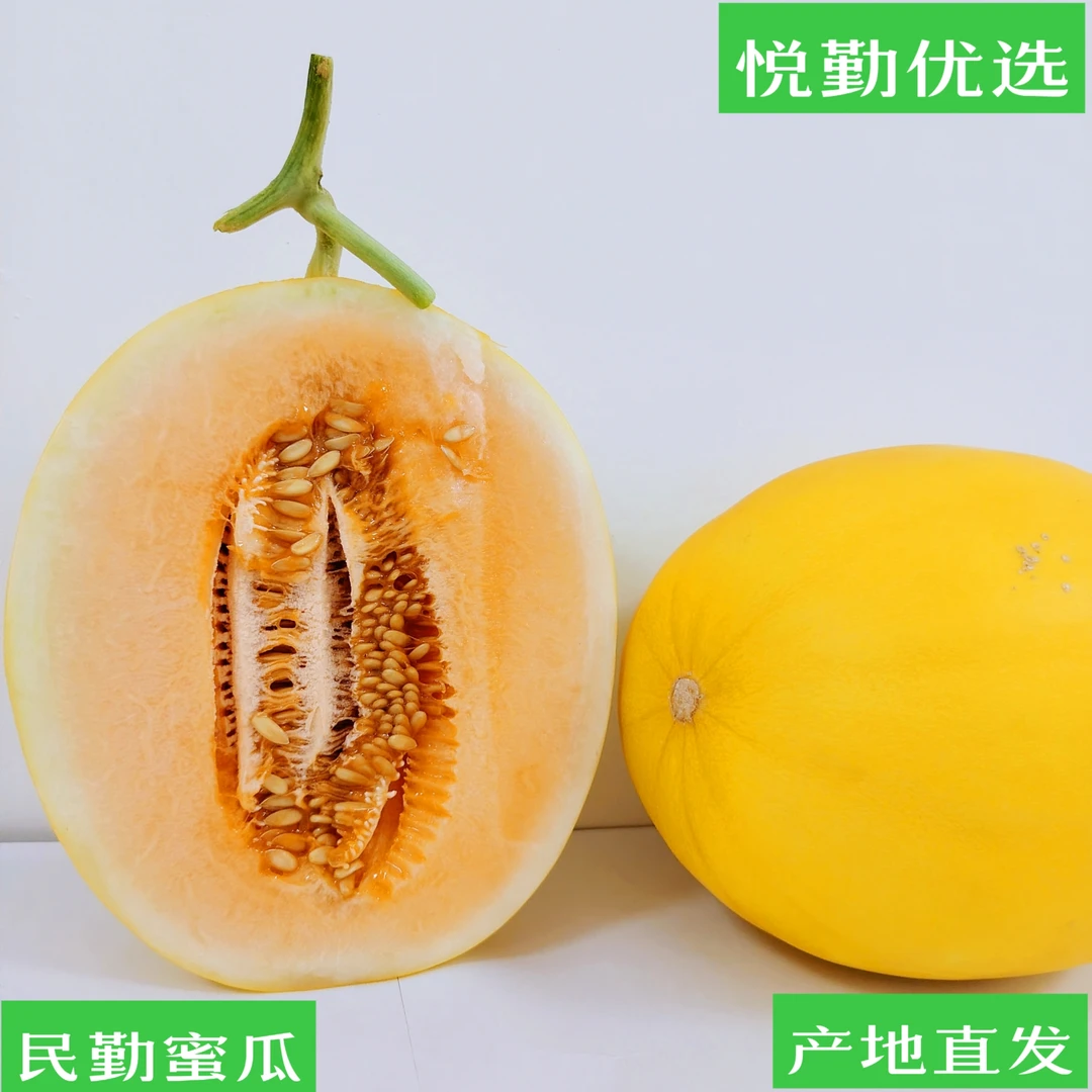 甘肃民勤蜜瓜金红宝7-8斤/8-9斤