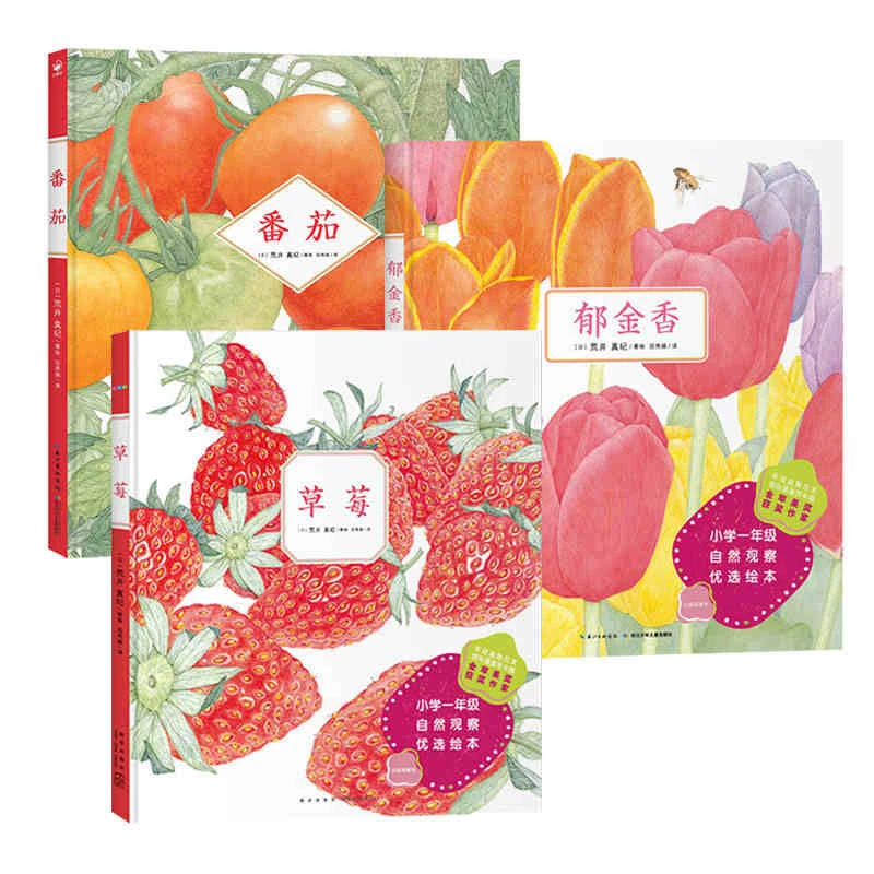 诺贝尔科学馆：草莓+郁金香+番茄 精装绘本一年级自然植物生长观察
