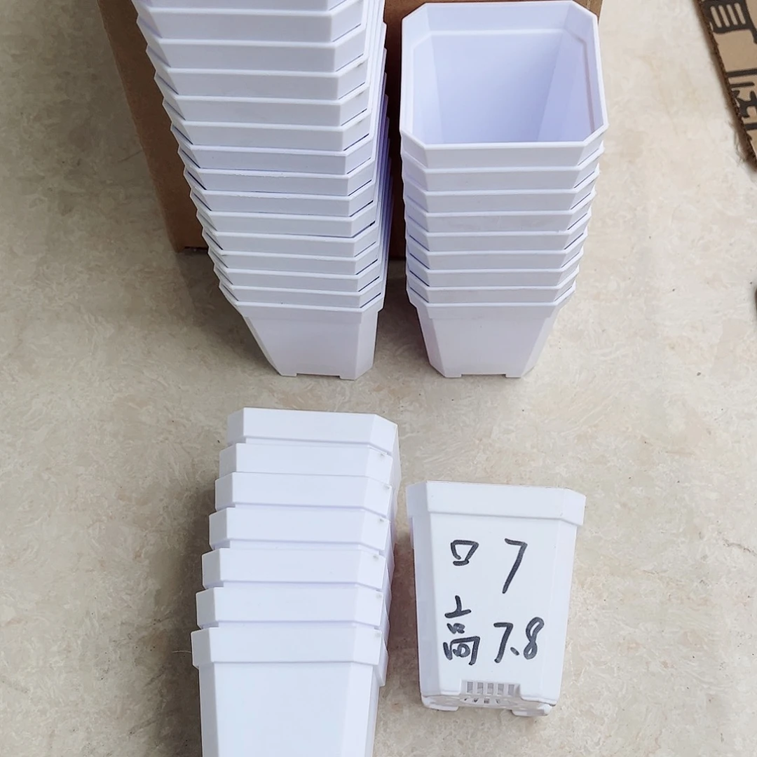 塑料瑕疵盆加厚斜角7方白色50个无托