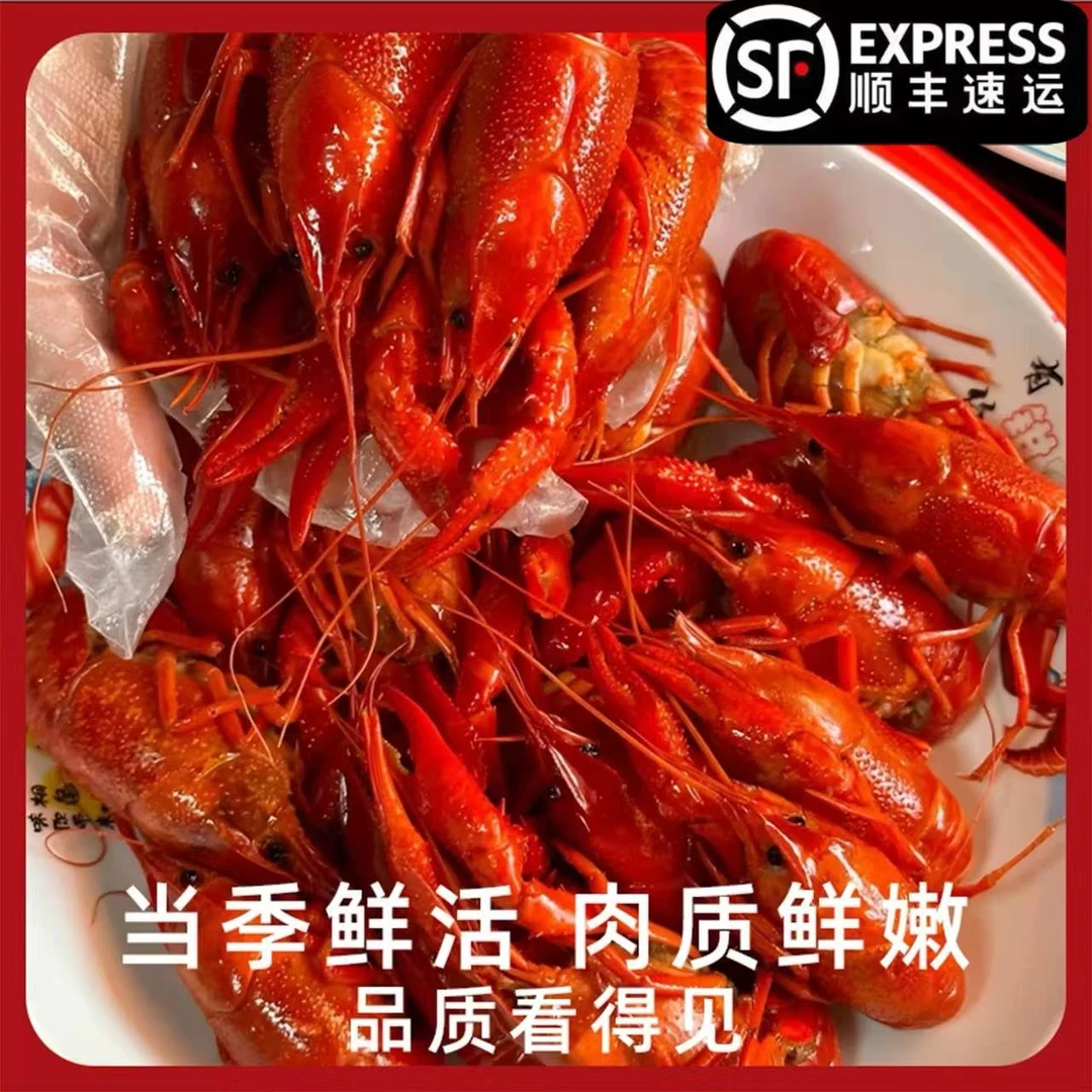 4斤清水小龙虾（非即食）精选4-6钱液氮活虾锁鲜