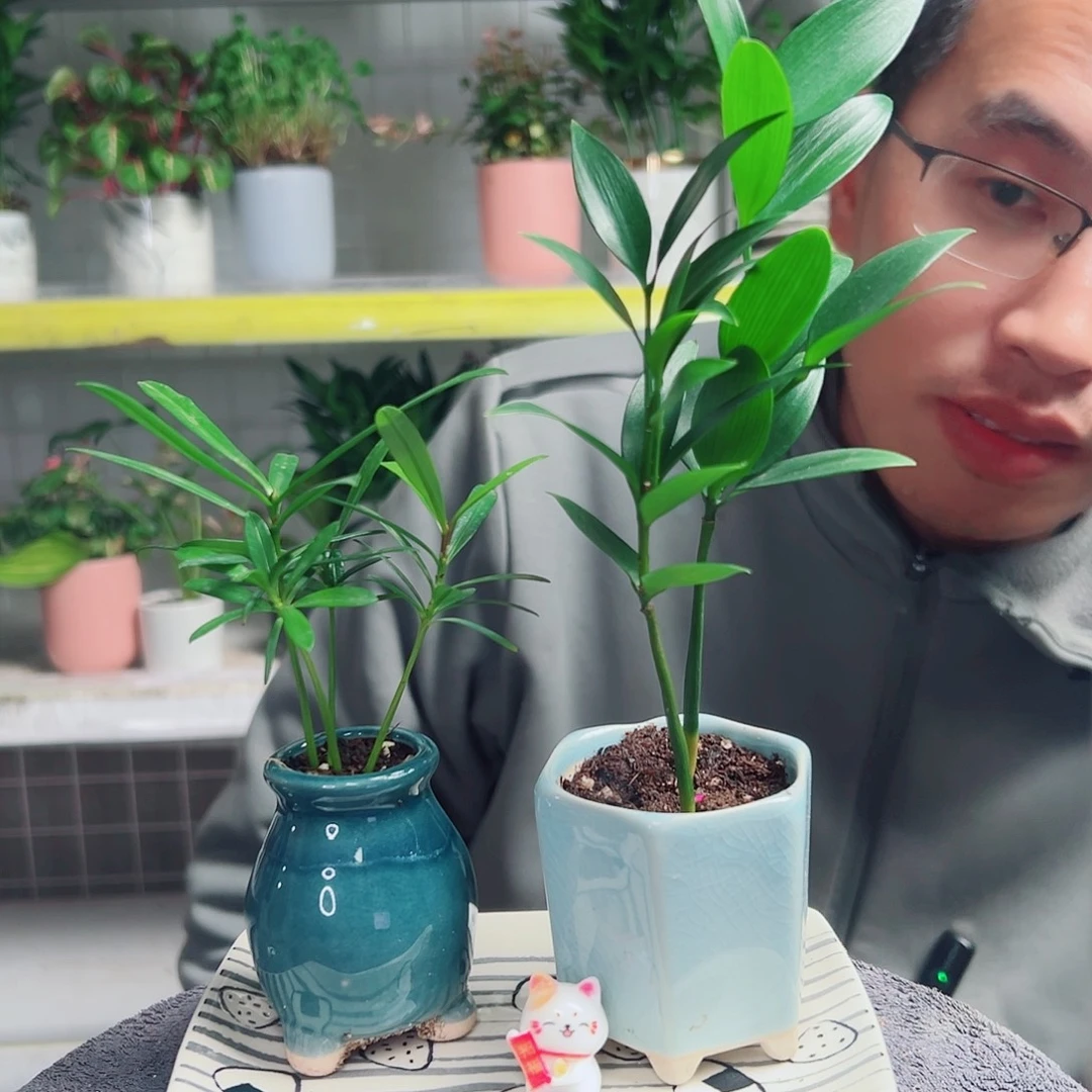 悟***灵无花朵40