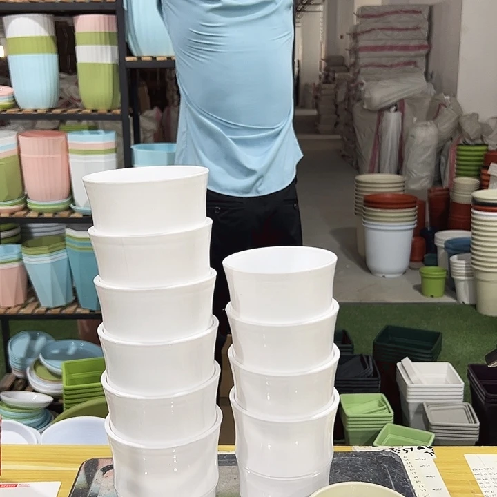 竹节口10高10白色10只带托