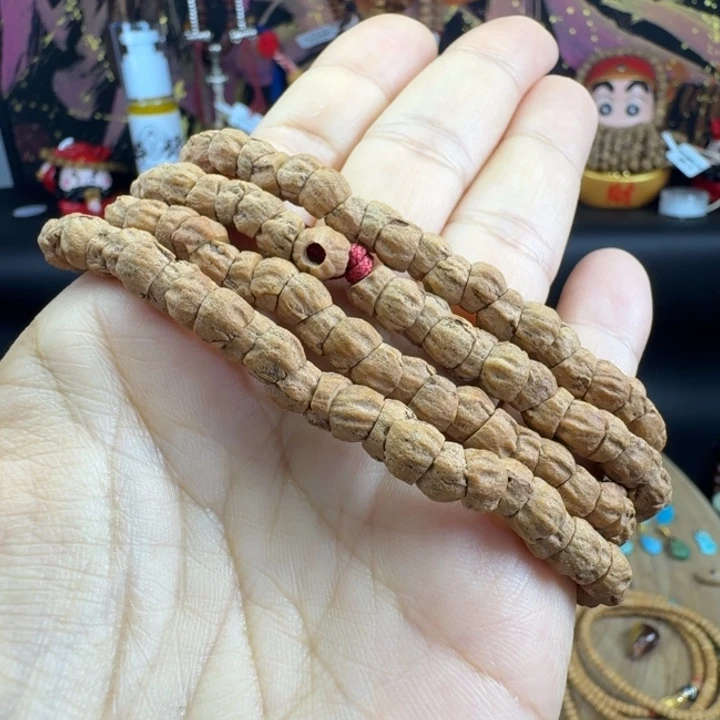 菩提籽类被退原因猜出直接送！