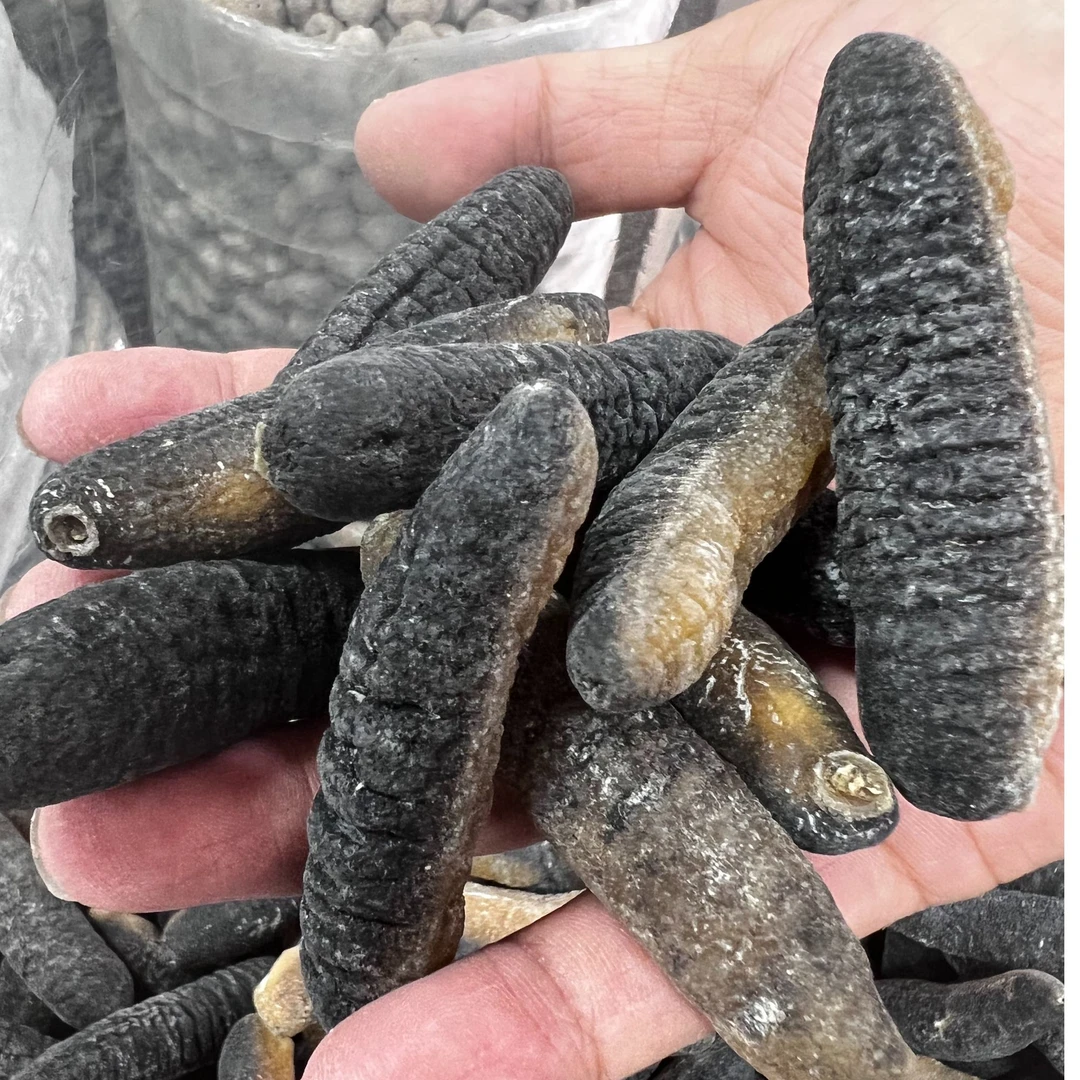 明秃海参（斯）25头/35头/59头/80头/110头