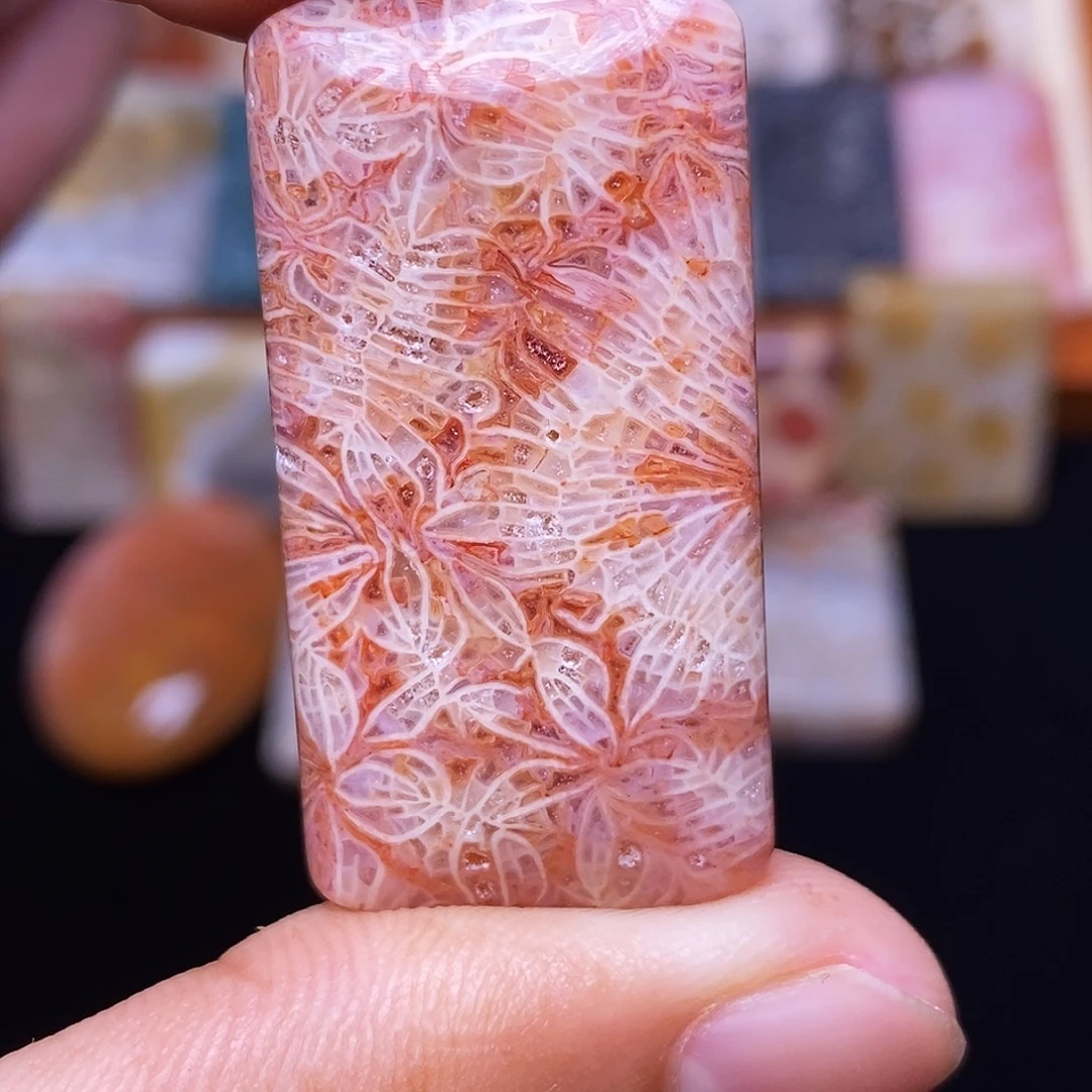 未***见硅化玉合金珊瑚玉