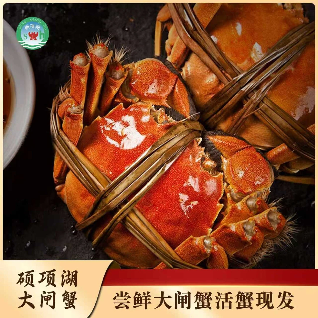 【活蟹】鲜活硕项湖大闸蟹 全母蟹 3.8-4.1两8-10只 顺丰冷链包邮