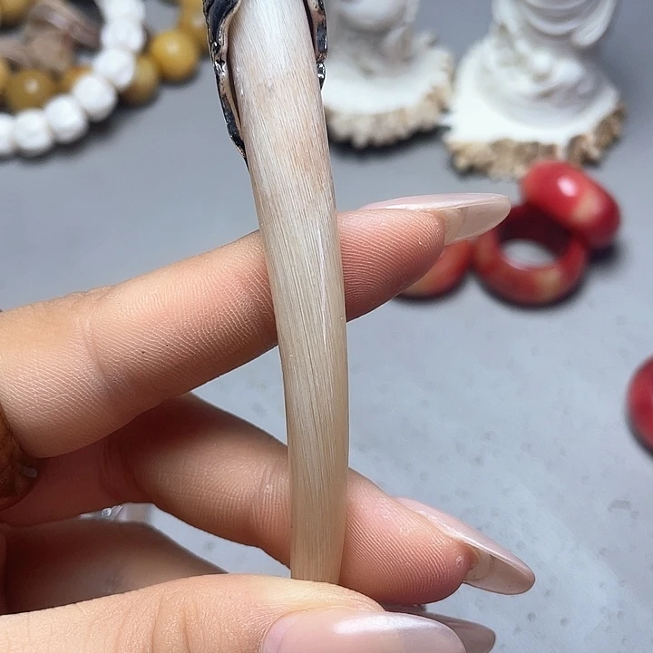 大果紫檀（缅甸花梨）
