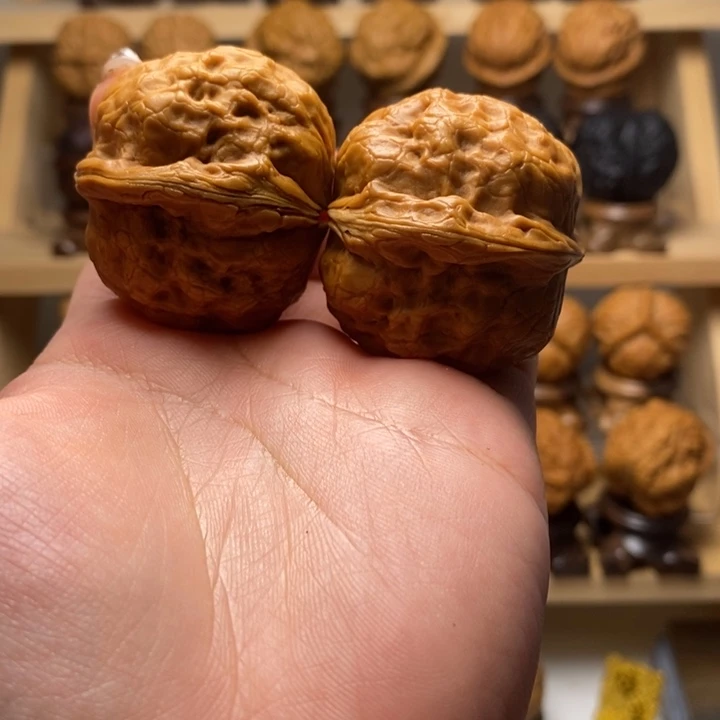 文玩核桃吊坠42金钱龟Y19