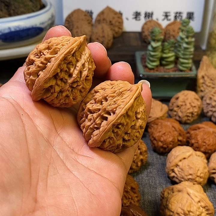 章***章核桃全品无修无药老树虎头42