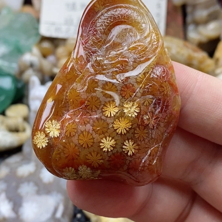 硅化珊瑚（珊瑚玉）颈饰未镶嵌