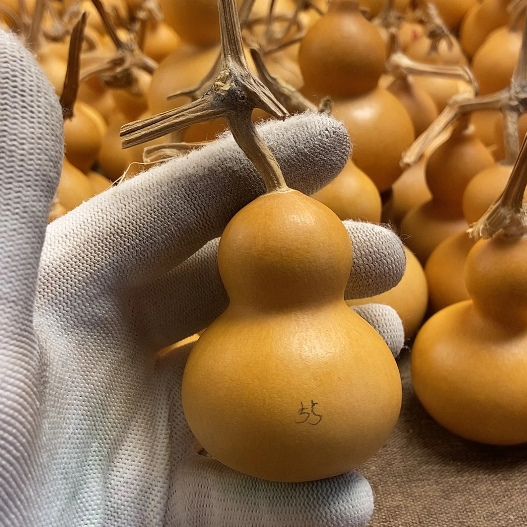 文玩葫芦 完美主义 慎拍55
