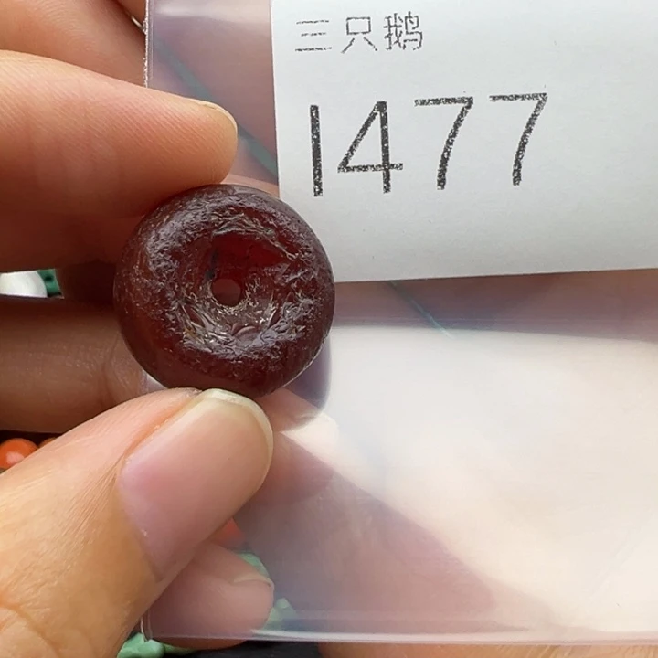 吊坠菩提根/象牙果