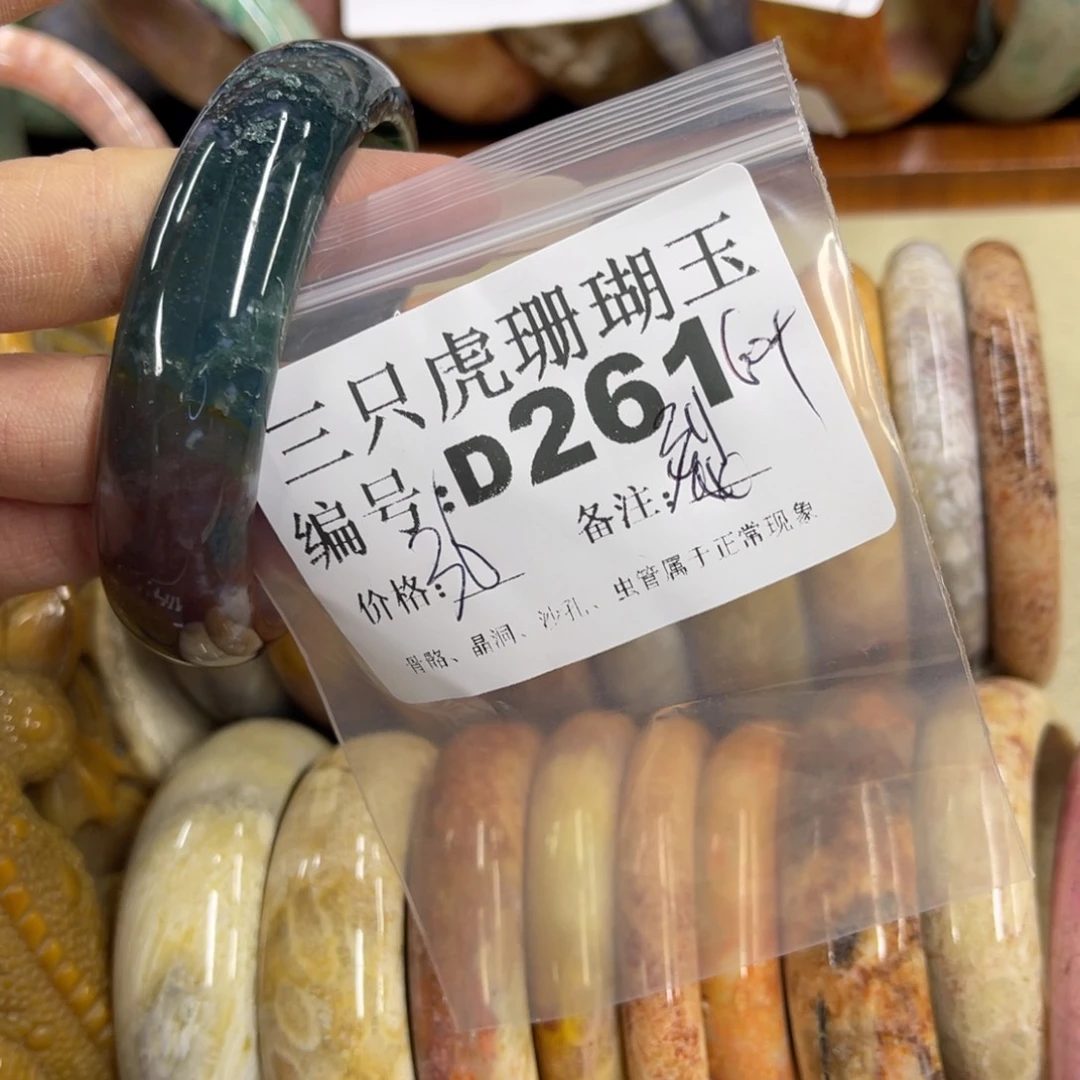 *****硅化珊瑚（珊瑚玉）未镶嵌h