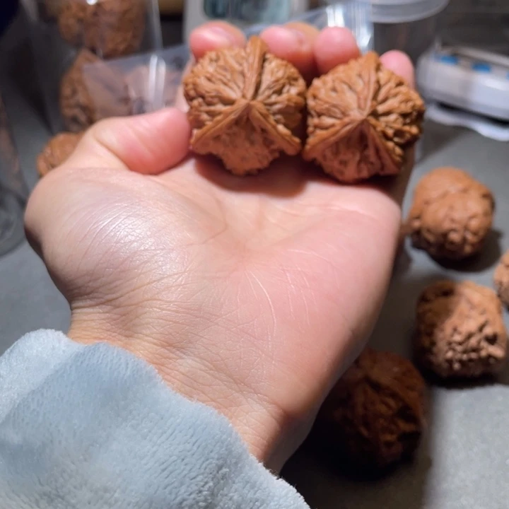 吊坠文玩核桃白狮子奔