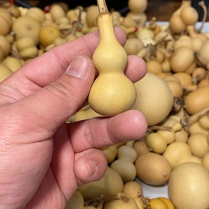 王***ん精品葫芦手把葫芦11