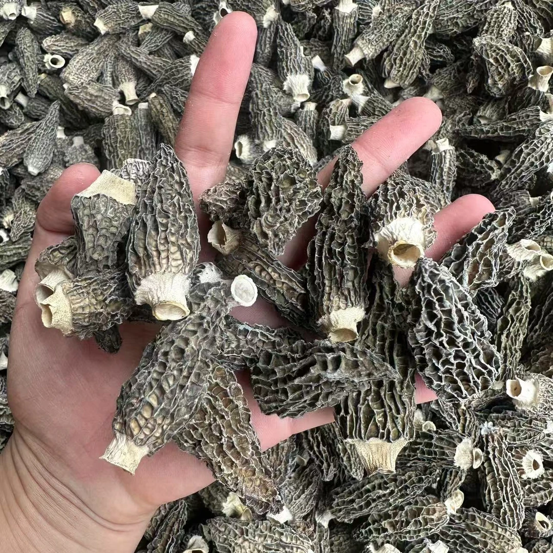 【益娜娜专属】剪脚厚肉的羊肚菌5-7 250g