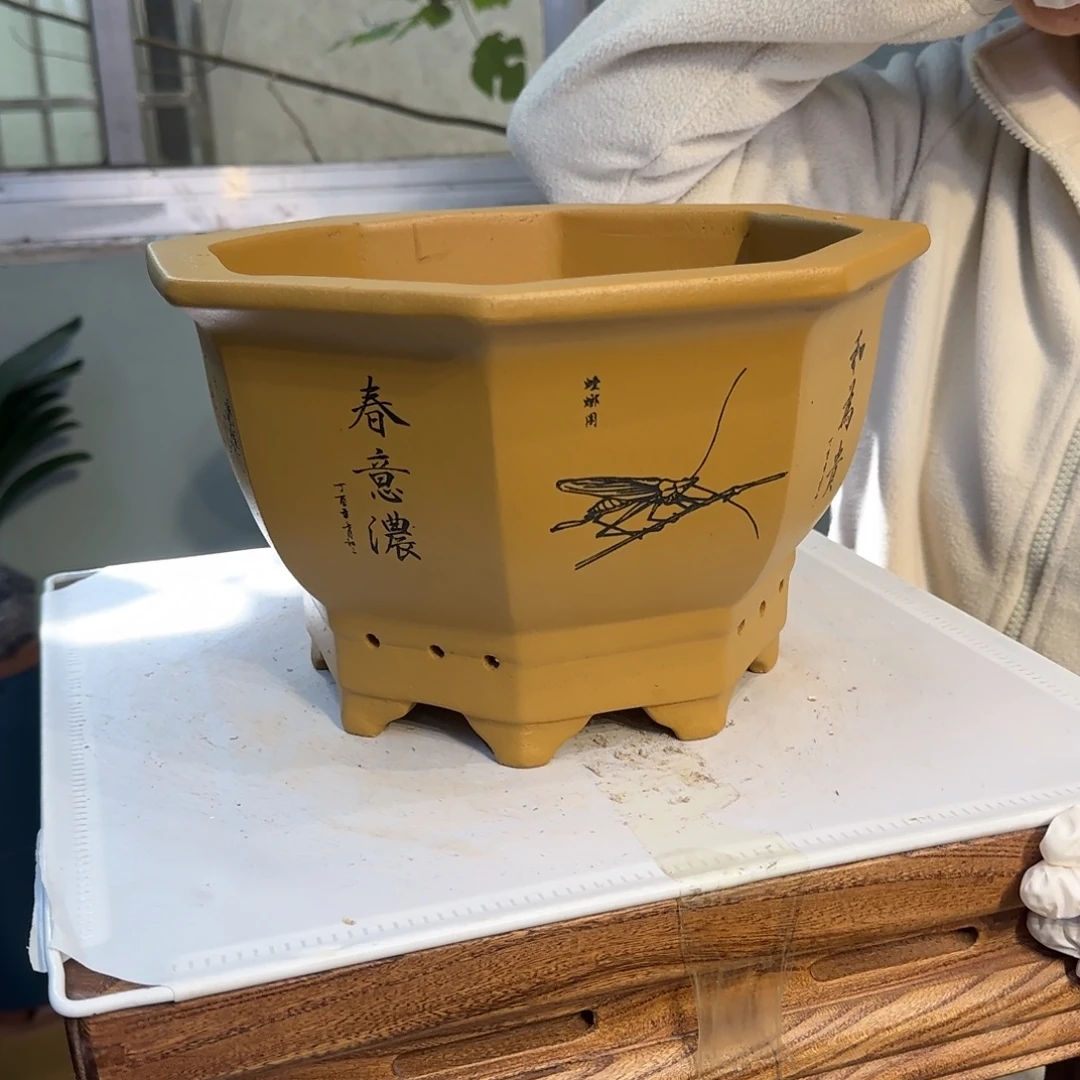 紫砂花盆紫砂口径27