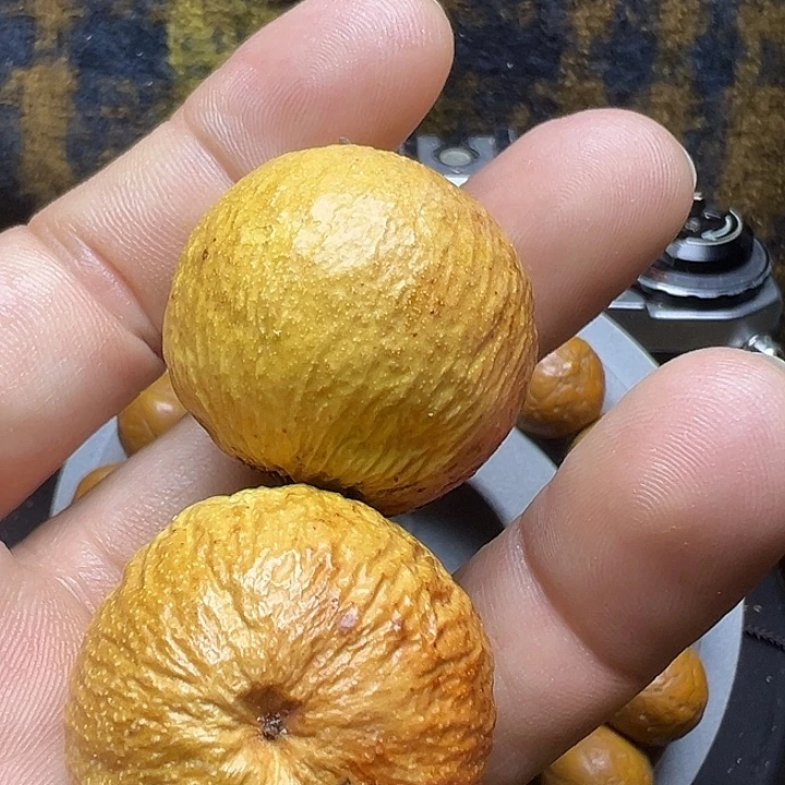 凤眼菩提吊坠干果60个