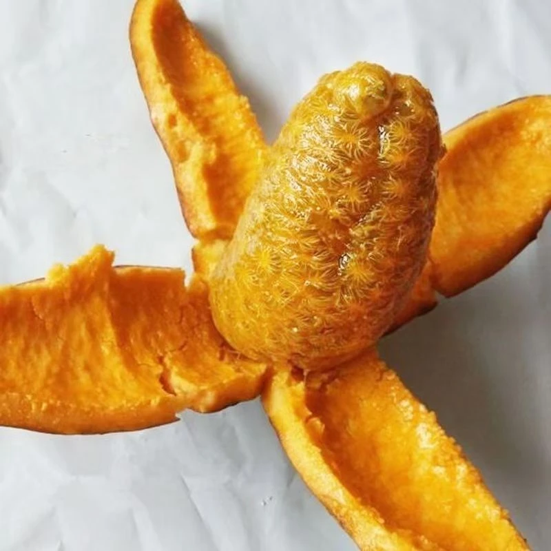 新鲜现摘野生九月黄应季水果牛卵坨野香蕉1-5斤装