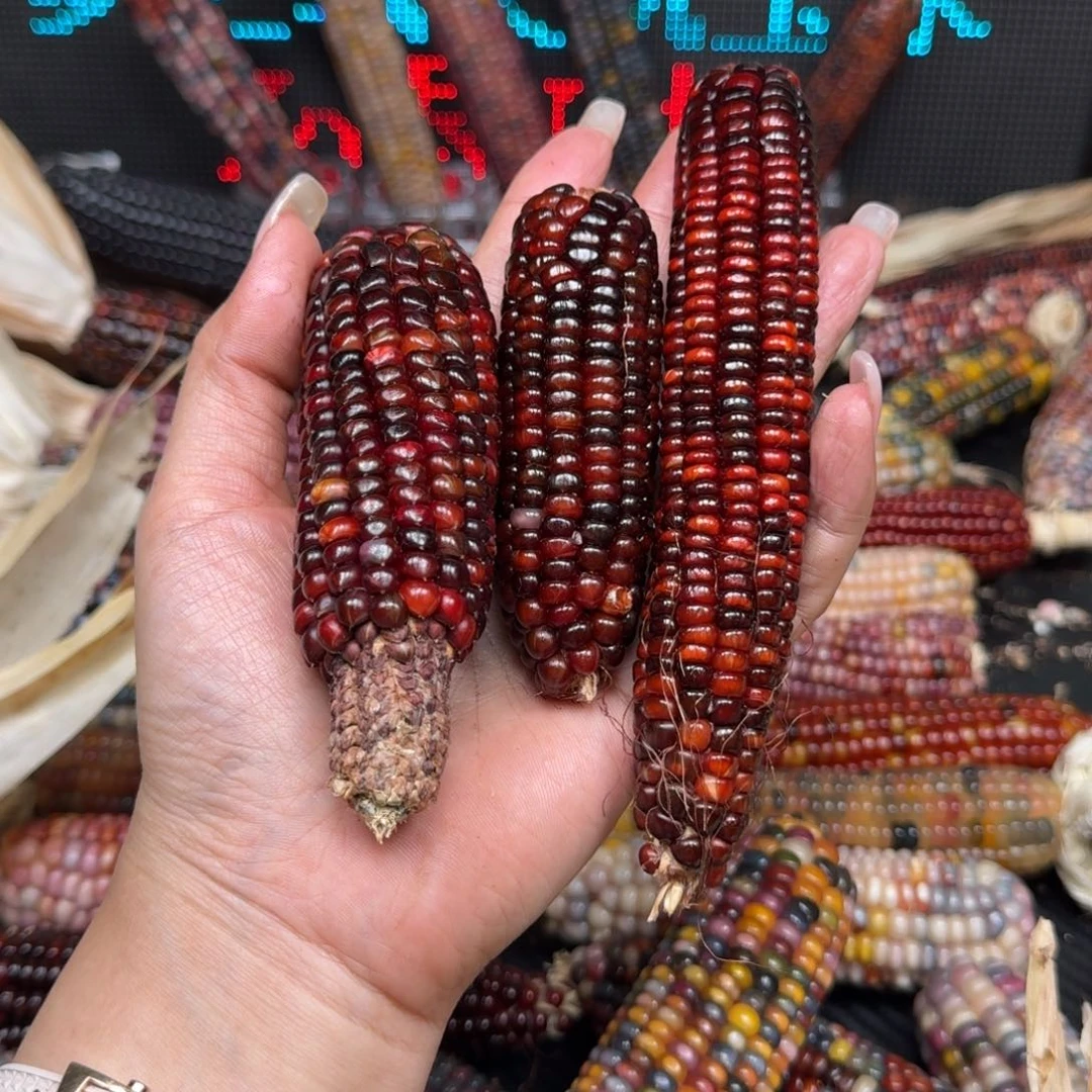 柏香籽/百香籽吊坠越