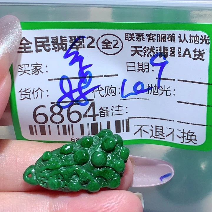 Z***列翡翠未镶嵌项圈vbn
