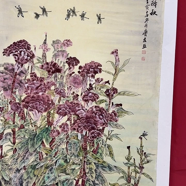 竖款中****~晚上好呀，惊喜连连