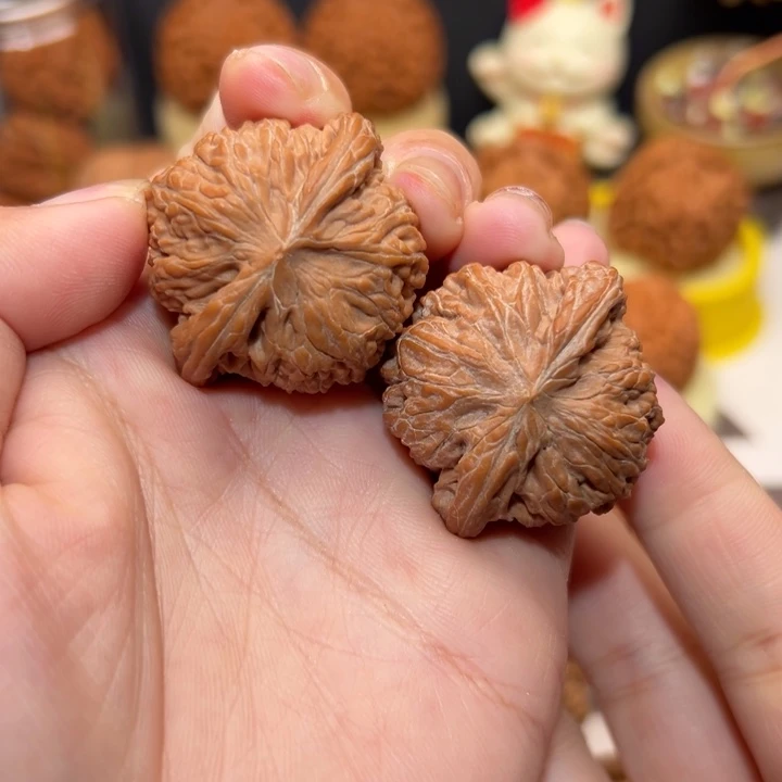 核桃37全品红皮山地磨