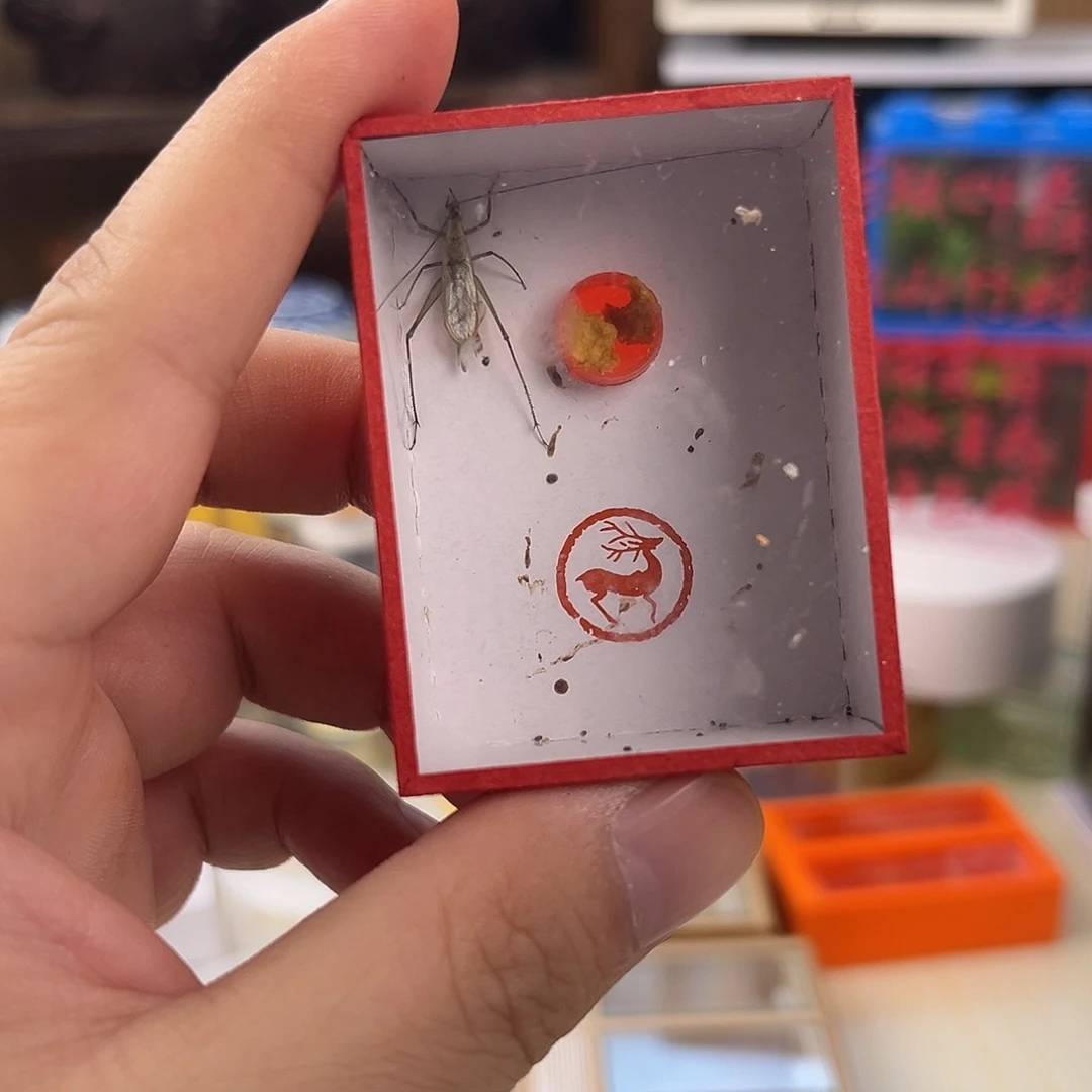 聽***嗎黑紫竹岭一个鸣虫