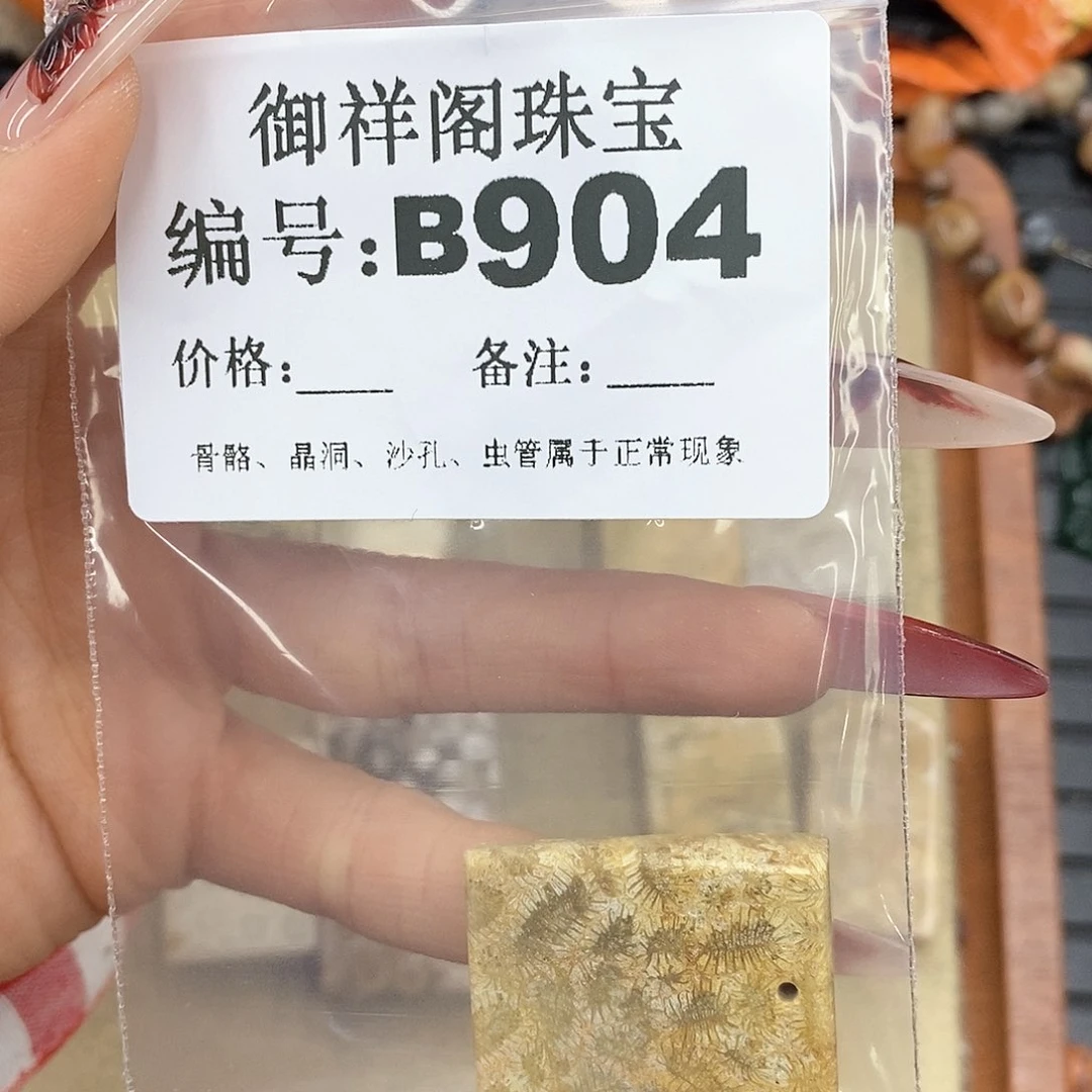 硅化珊瑚（珊瑚玉）颈饰未镶嵌冬*