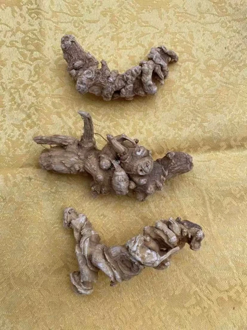 【主播精选】 天王参