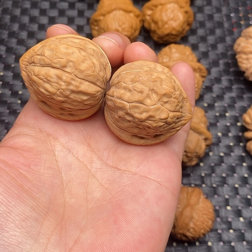 【闪购商品】核桃归甲文35