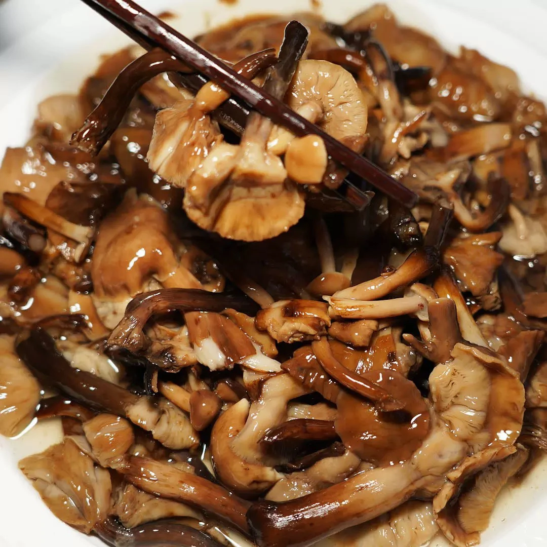 东北野生蘑菇水焯加盐发货