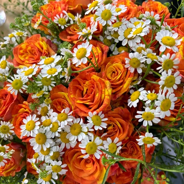 【橘子汽水搭配花束】家庭插花花束只发新疆顺丰包邮