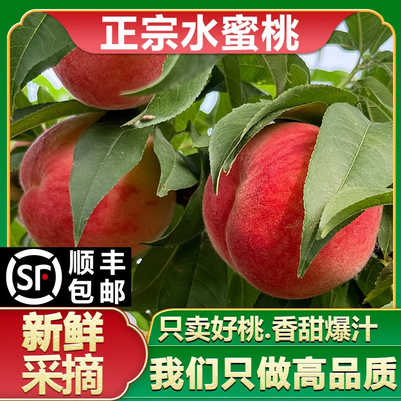 【顺丰包邮】毛桃水蜜桃新鲜现摘鲜甜多汁水果新鲜脆水果当季新鲜水果桃子安徽省