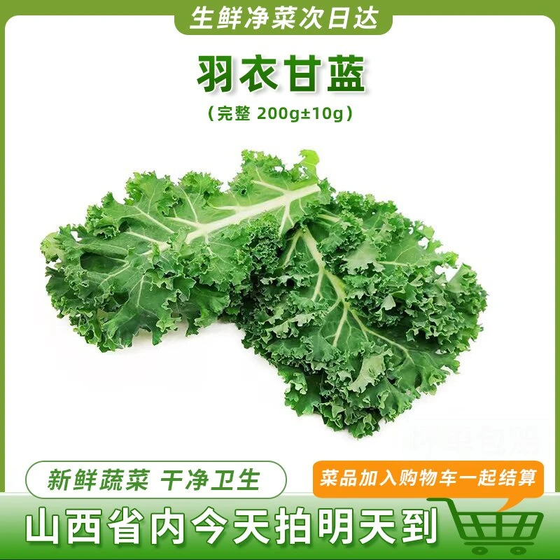 羽衣甘蓝200g左右绿色蔬菜