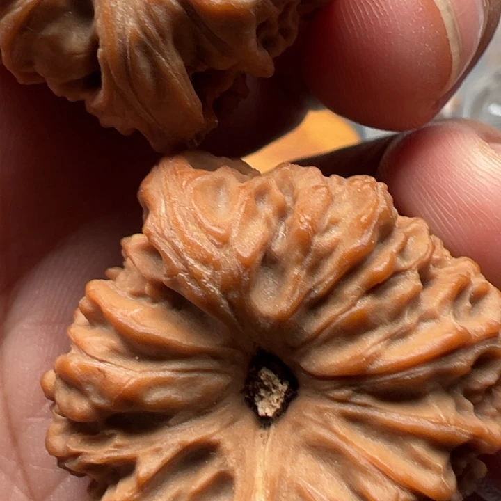 Y****把件文玩核桃南疆石