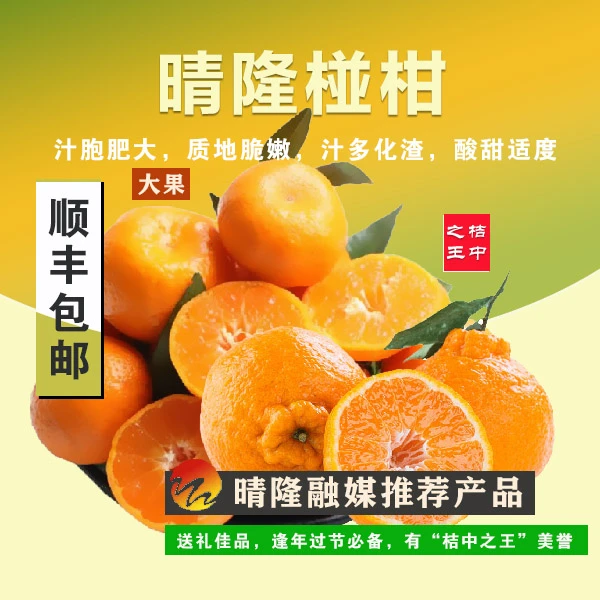 【晴隆融媒推荐】正宗椪柑晴隆农特产