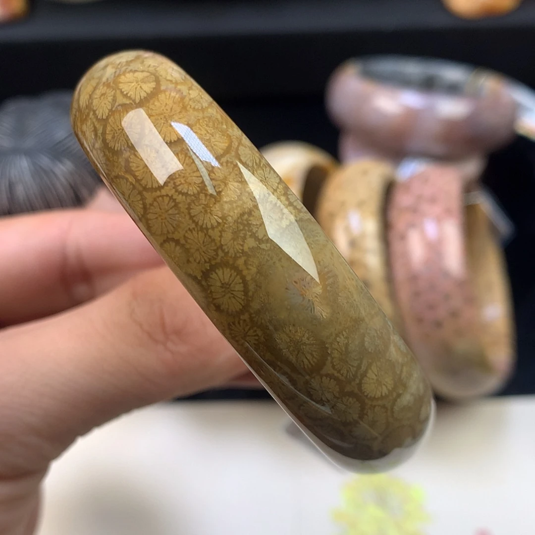 【闪购商品】颈饰未镶嵌硅化珊瑚（珊瑚玉）59号57圈皮花