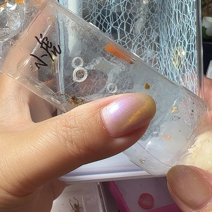 小***虎哈哈哈哈哈哈哈哈哈