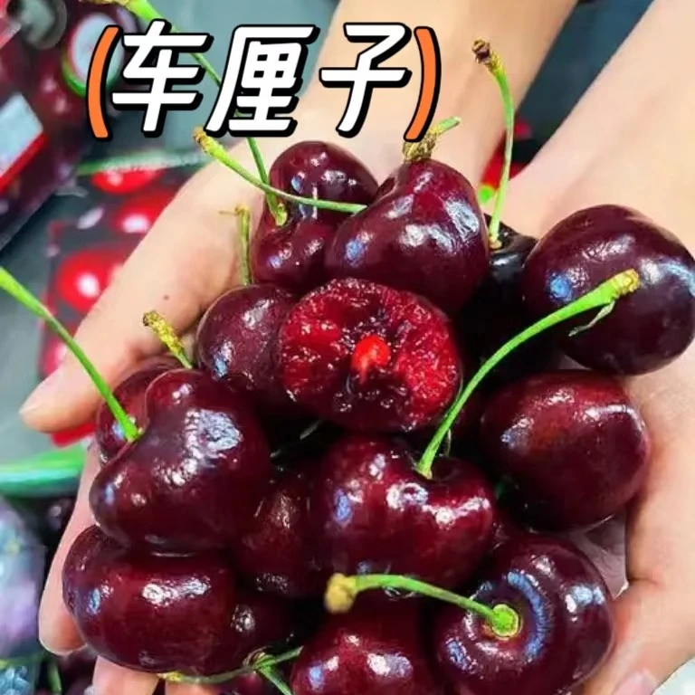 波板海运车厘子4J（32-34mm）净重5斤1箱智利