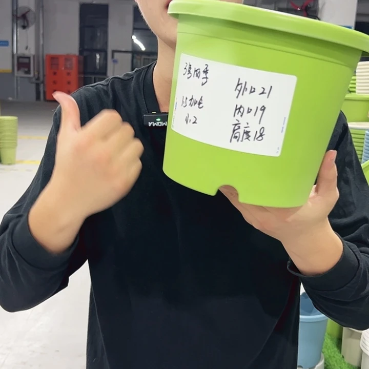 特价3号口21高18果绿色10只无托