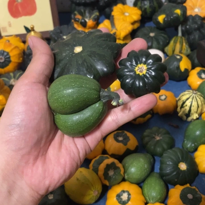 朋666666666666666666